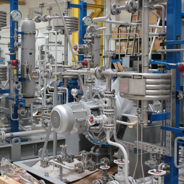 Zu sehen sind zwei Nahaufnahmen von BB2-Pumpenanlagen mit zwei Naphta-Pumpen, einem Rohrverteiler zur Kühlung des Dichtungssystems, Absperrventilen, Verteilerrohrleitungen, Entlüftungen, einem Anschlusskasten mit Exe/Exi-Ausführung und ATEX-Zulassung sowie Kabelführungen aus feuerverzinktem Stahl. Die Verrohrung für das Dichtungssystem sowie die notwendigen Absperrventile und Rohrleitungen sind am Grundrahmen montiert.