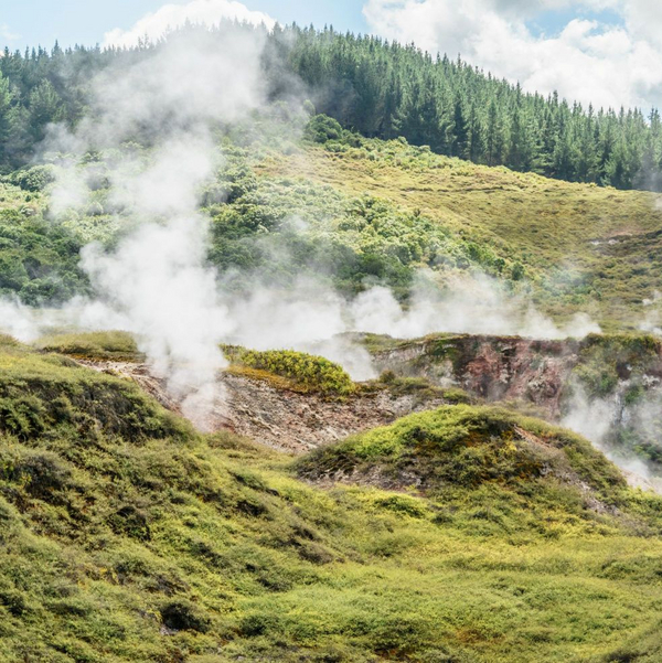 Dampfende grüne Landschaft mit naturbelassener grüner Hügellandschaft und Nadelwald im Hintergrund, bei der geothermischer Wasserdampf aus der Erde steigt.