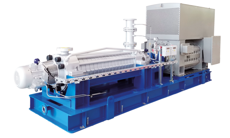 HPD Kesselspeisepumpe von Apollo als Komplettaggregat mit Motor, kommt in einem Chmiewerk zu einsatz.